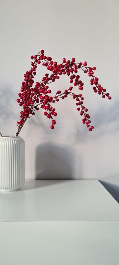 Li Ri Apartment Style Sora Ngoại thất bức ảnh